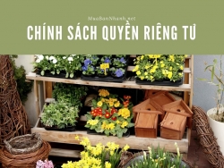 Chính sách quyền riêng tư