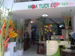 Công ty TNHH Hoa Tươi Đẹp xây dựng thương hiệu cùng VIP MuaBanNhanh cung cấp các dịch vụ về hoa tươi