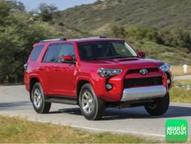Xe Toyota 4Runner